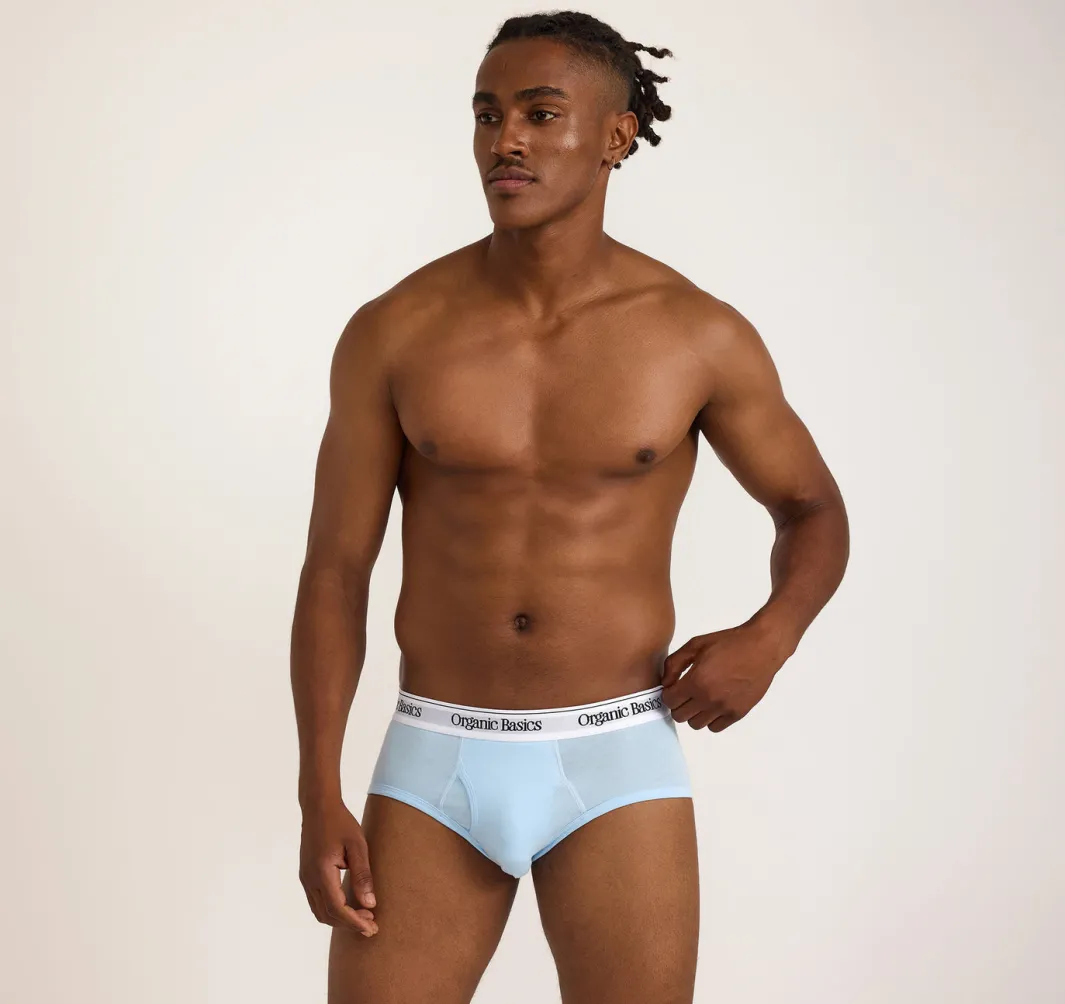 Clearance Organic Basics Easy Briefs 3-Pack
