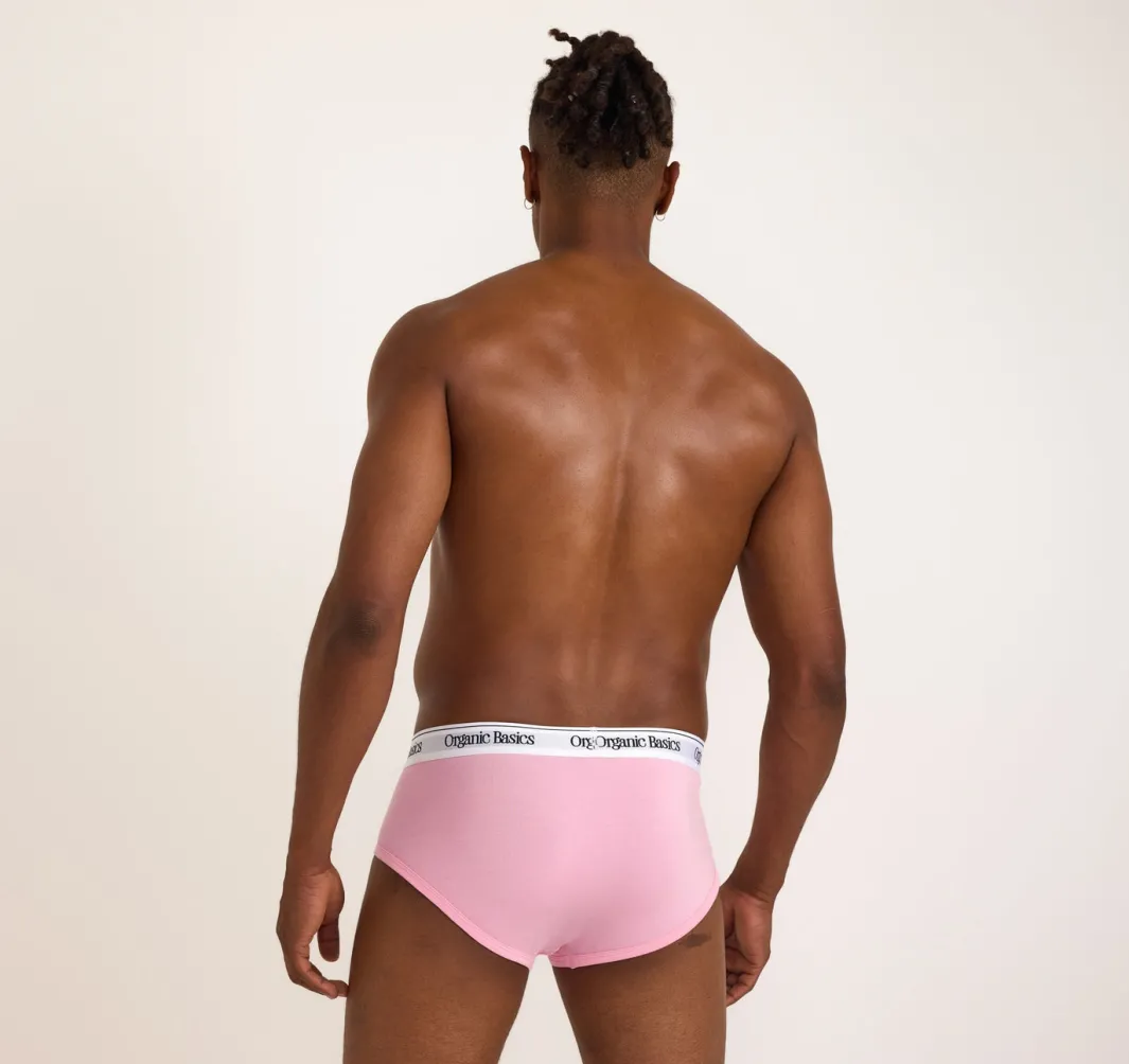 Clearance Organic Basics Easy Briefs 3-Pack