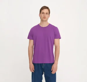 Clearance Organic Basics True Regular Fit Tee Aubergine